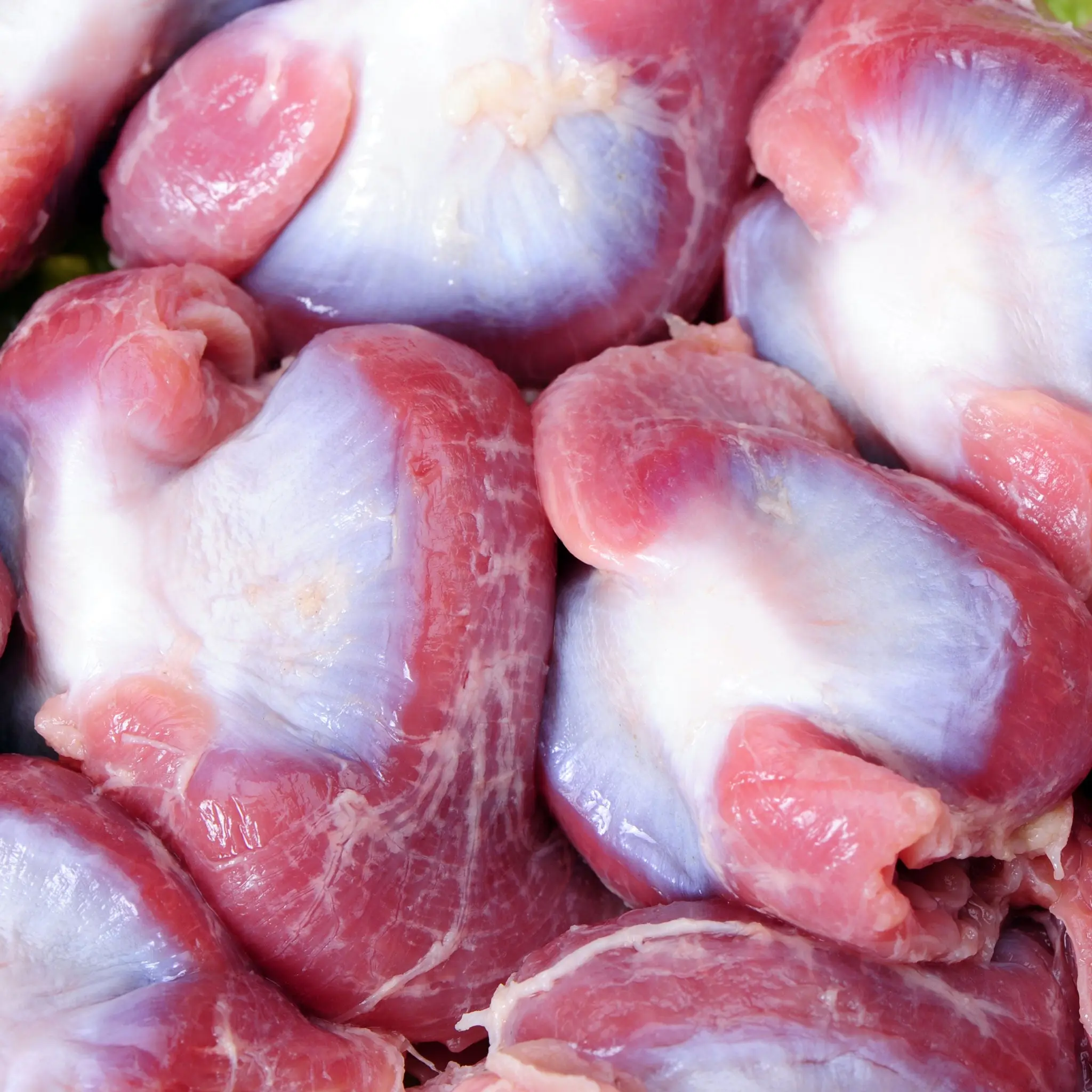 Chicken Gizzard